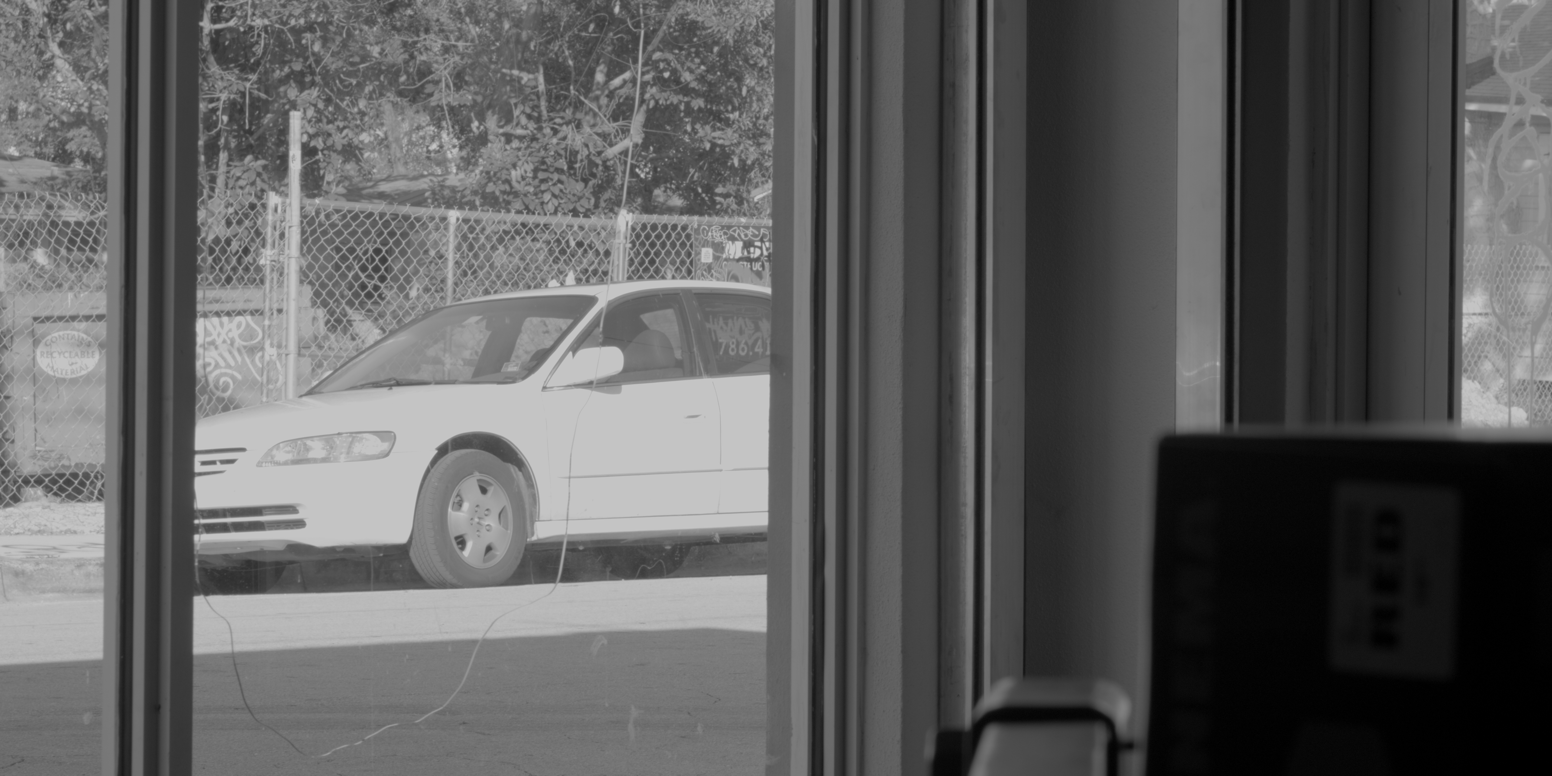 monochrome80r_rlf.jpg